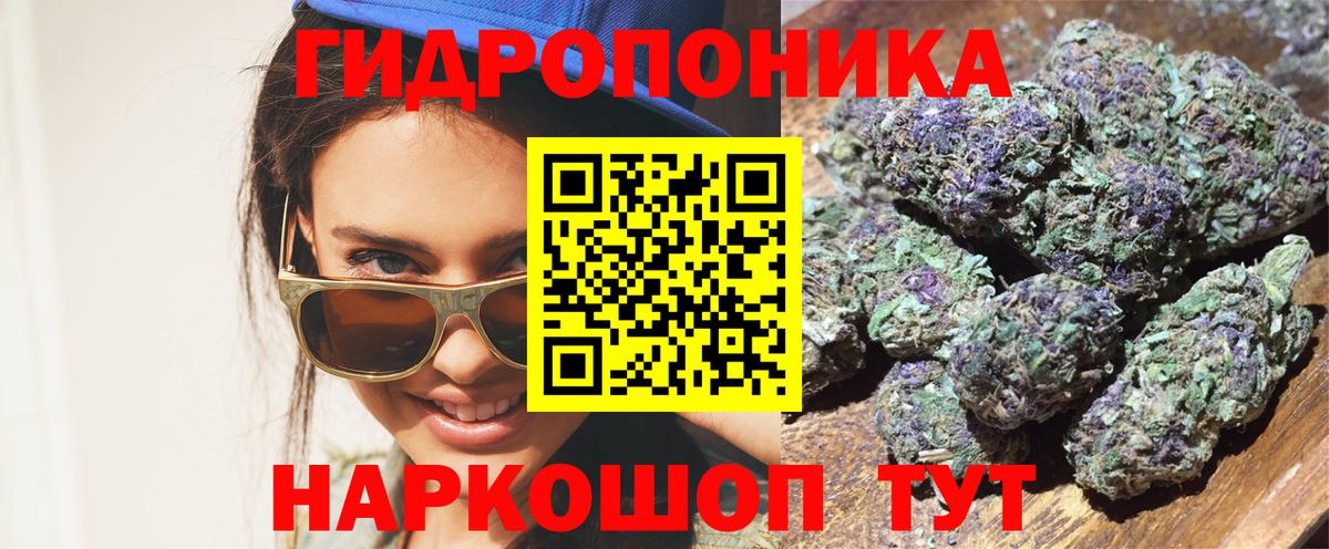 Канабис MAZAR Чернушка